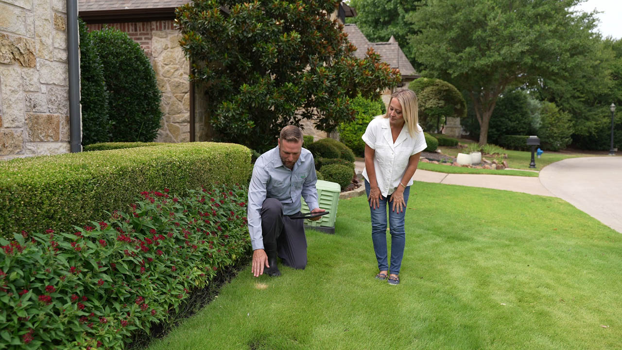 Video example — Video capture on site