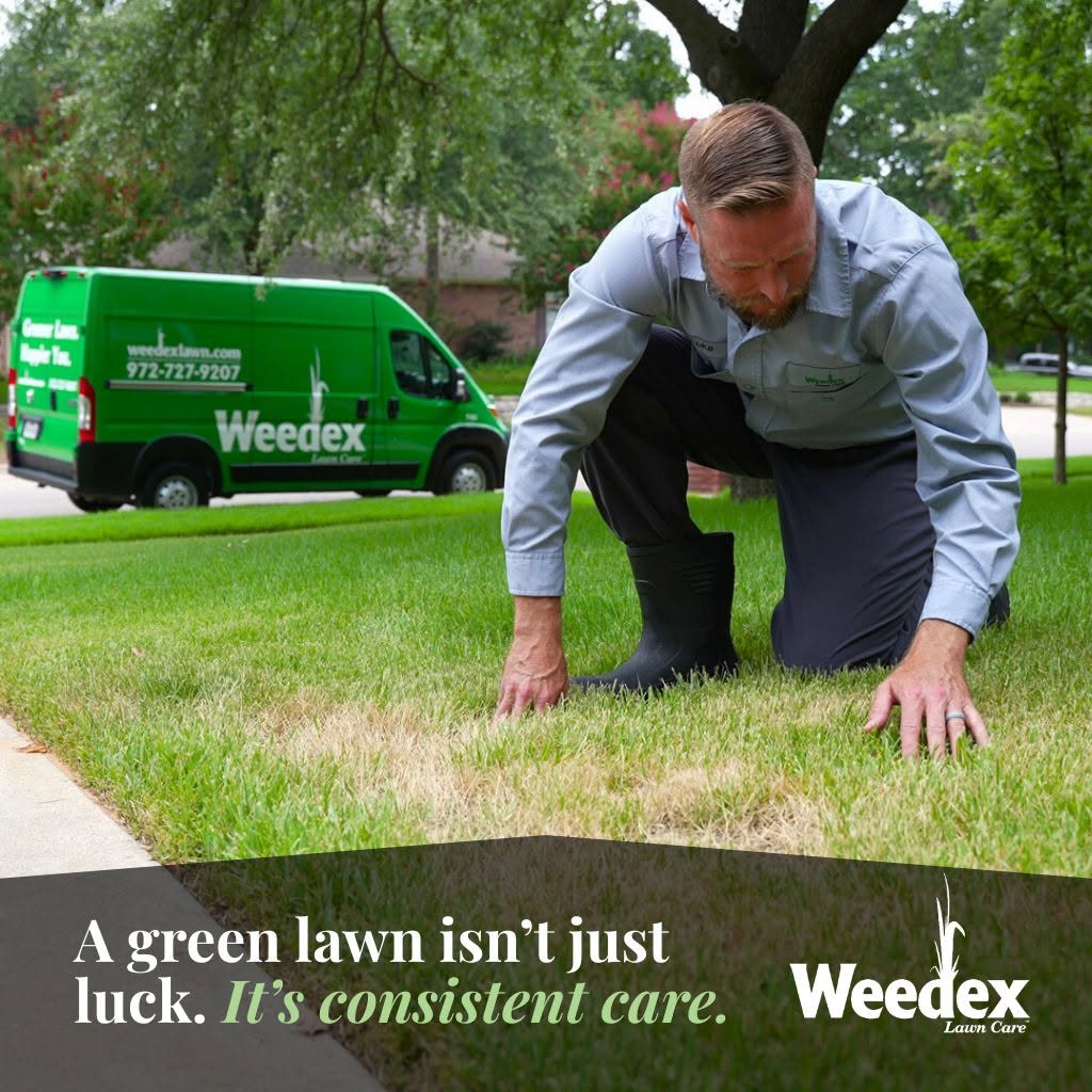 Instagram example — Lawn care campaign post